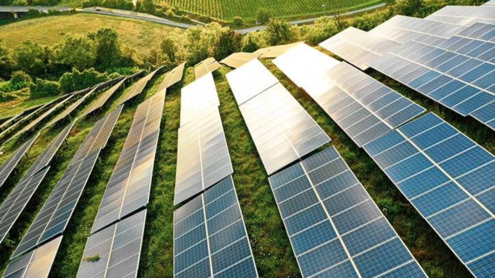 solar-panels-array